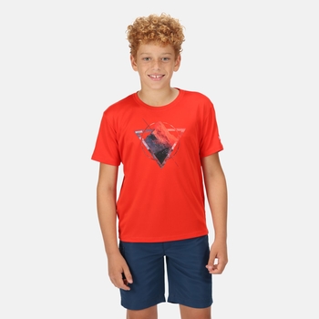 Jungs Sport T-Shirt Shirt Kurzarmshirt Short Bermuda Hose Schwarz Orange 