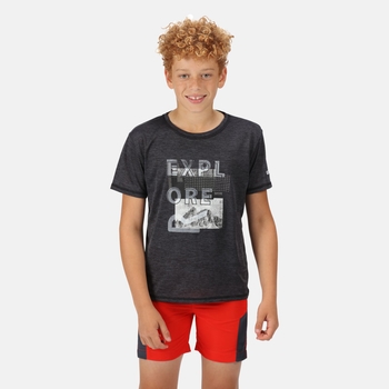 Alvarado VI T-Shirt für Kinder Grau